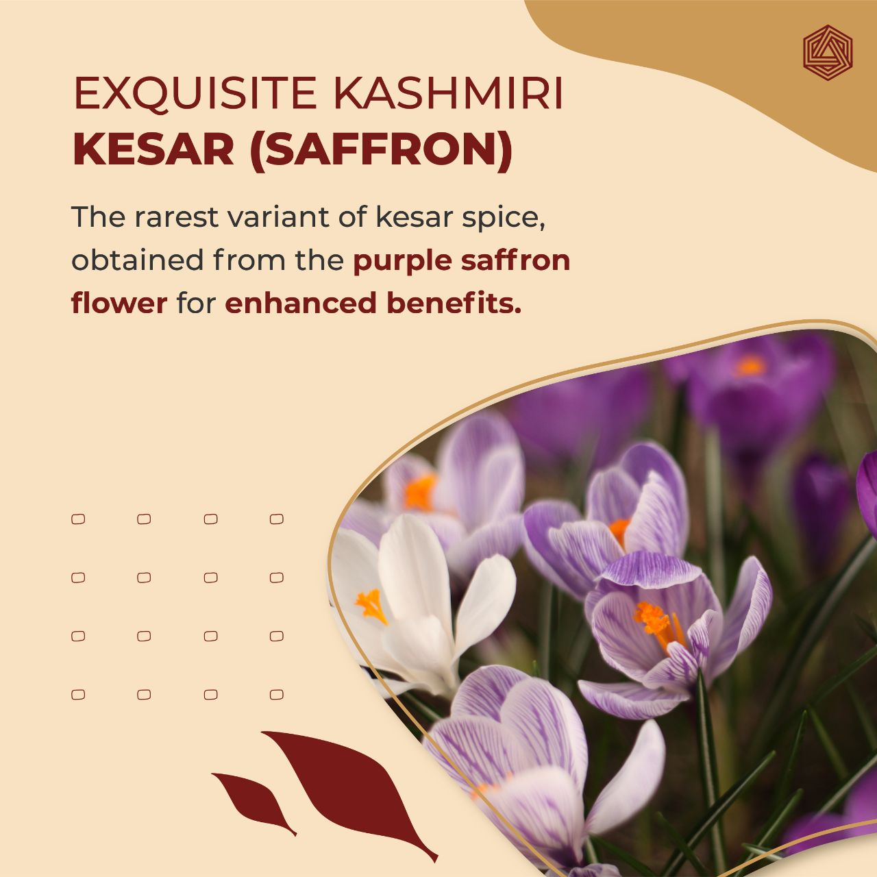BOLDVEDA Pure Kashmiri Kesar - All-Red Finest Saffron Threads - 1gm