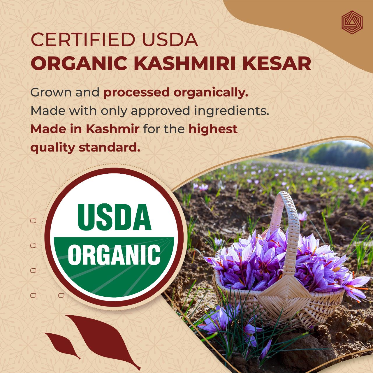 BOLDVEDA Organic Kashmiri Kesar - All-Red Finest Saffron Threads - 1gm